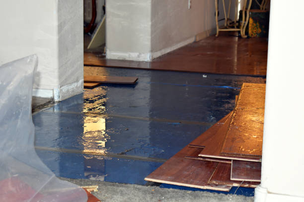 Professional Water Damage Restoration technician working in Zenda, WI